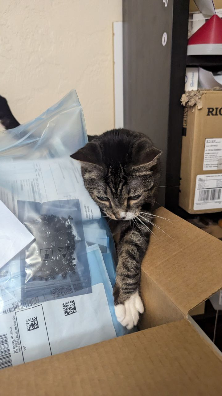 Annie pawing at the contents of the DigiKey box